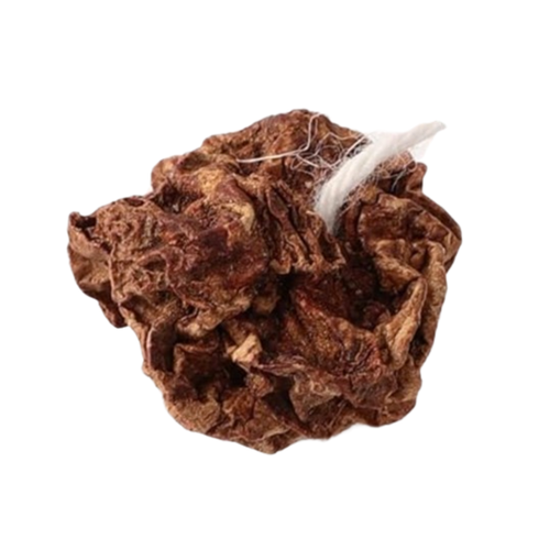 Frutas de Silvervine