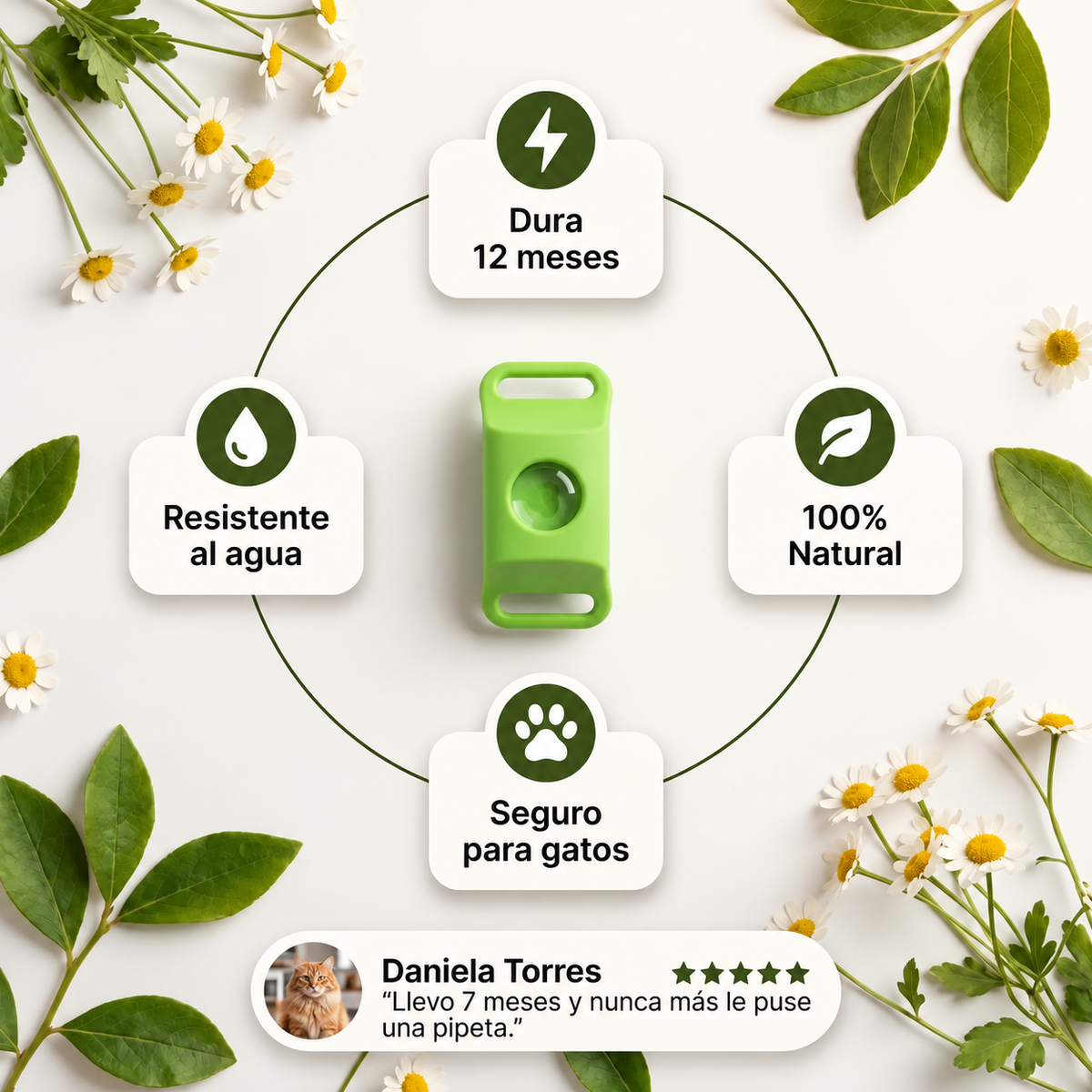 PurrBite™ Kit Antiparásitos Natural