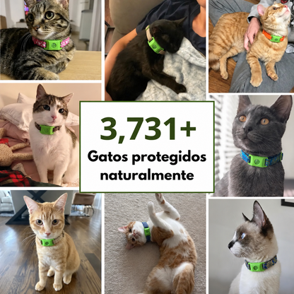 PurrBite™ Kit Antiparásitos Natural