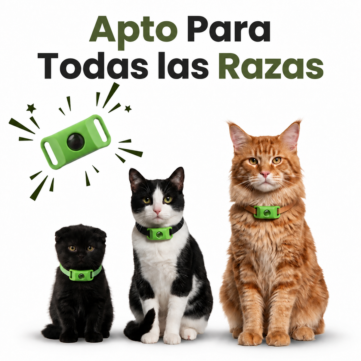 PurrBite™ Kit Antiparásitos Natural