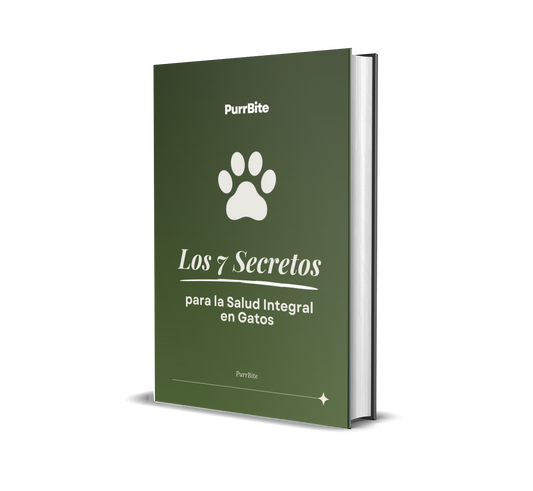 Los 7 Secretos para Salud Integral en Gatos