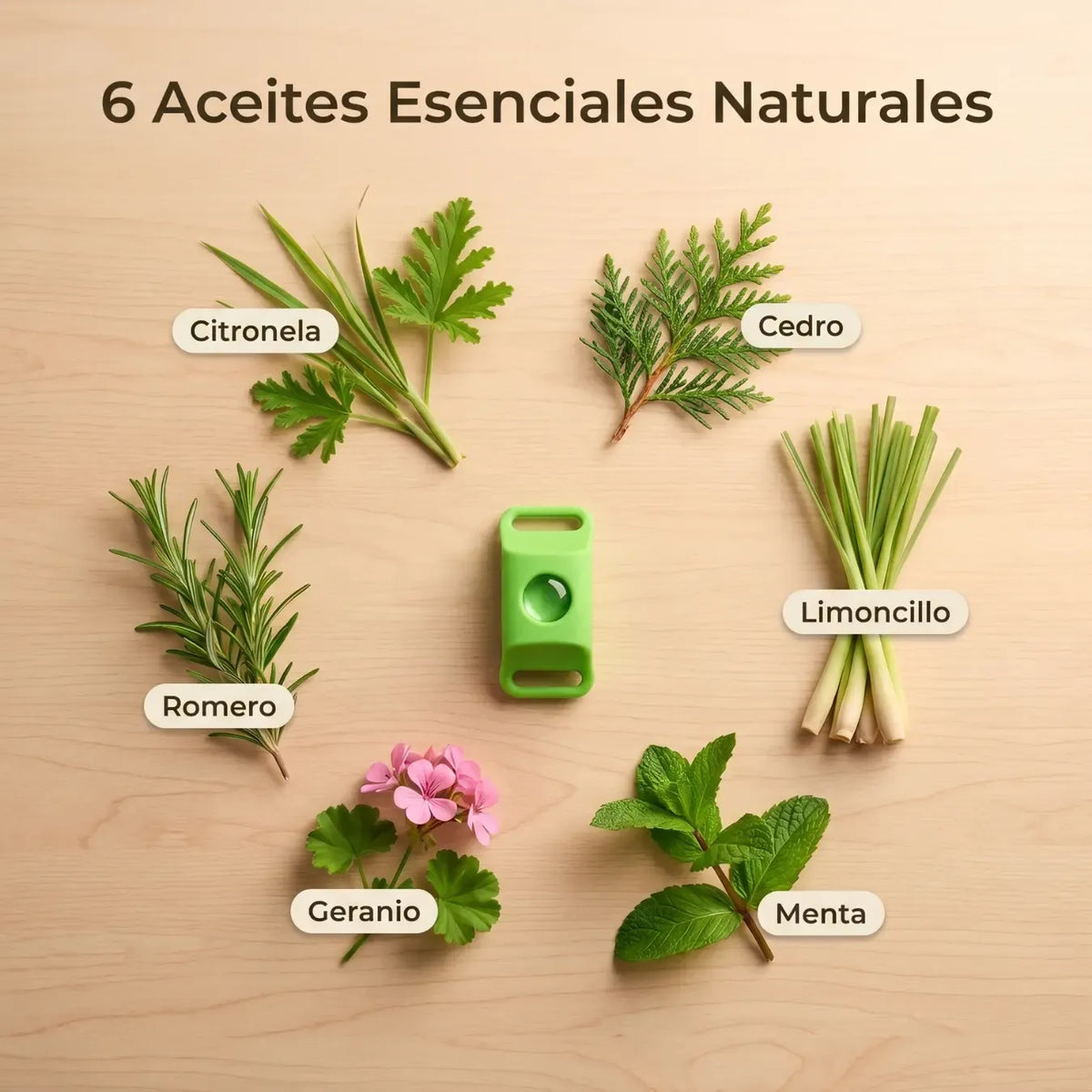 PurrBite™ Kit Antiparásitos Natural